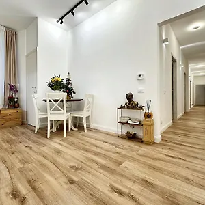 Colosseum Luxury Affittacamere Roma